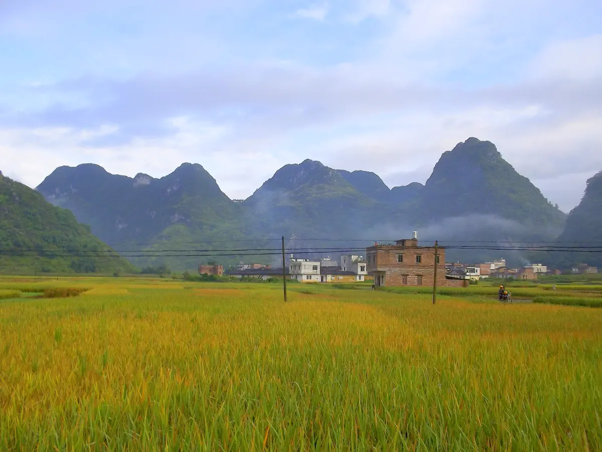 100_1355-001-1024x769.jpg?resize=660%2C495